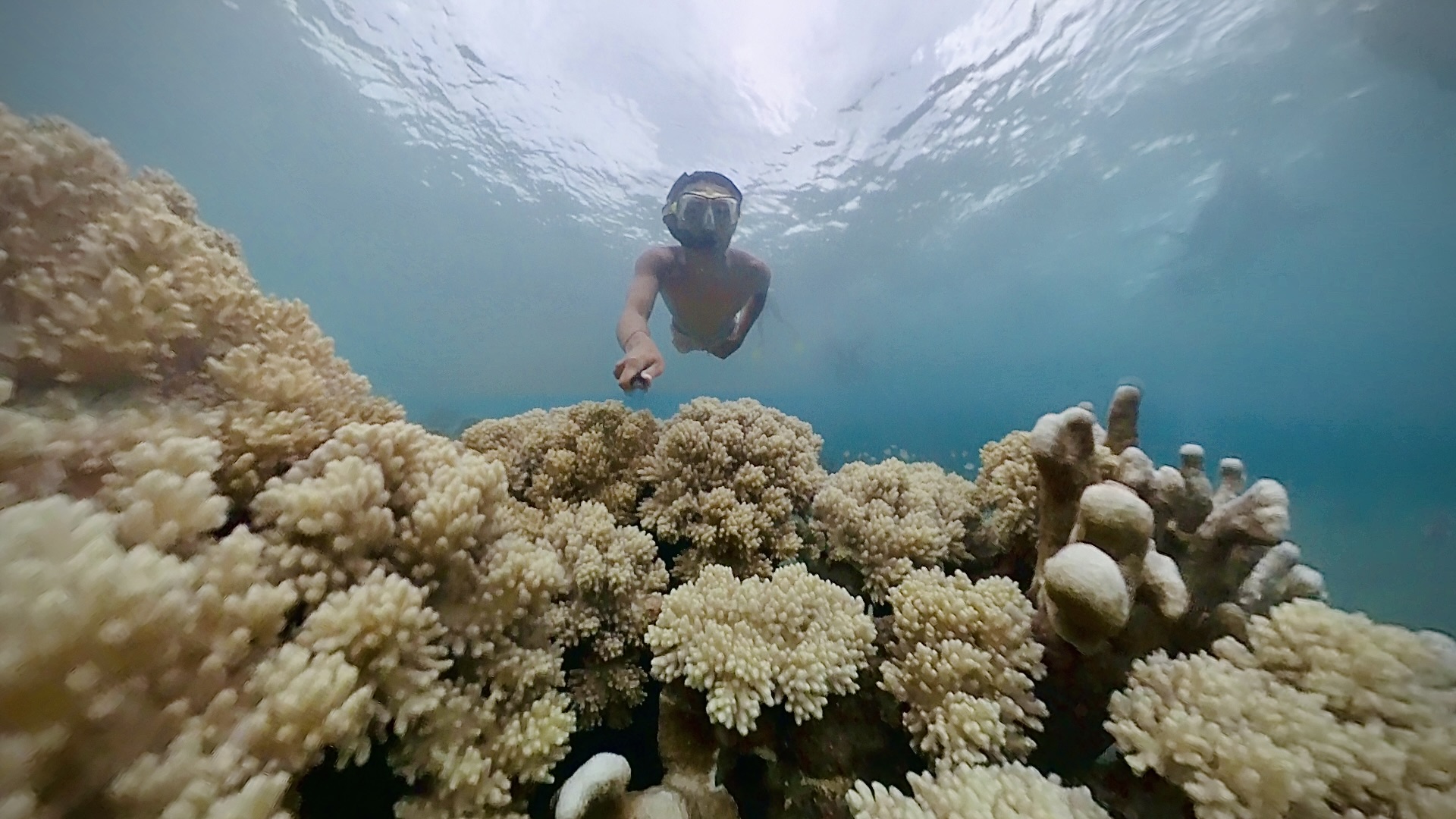 “Coral Canvases: Painting History Beneath the Waves”
