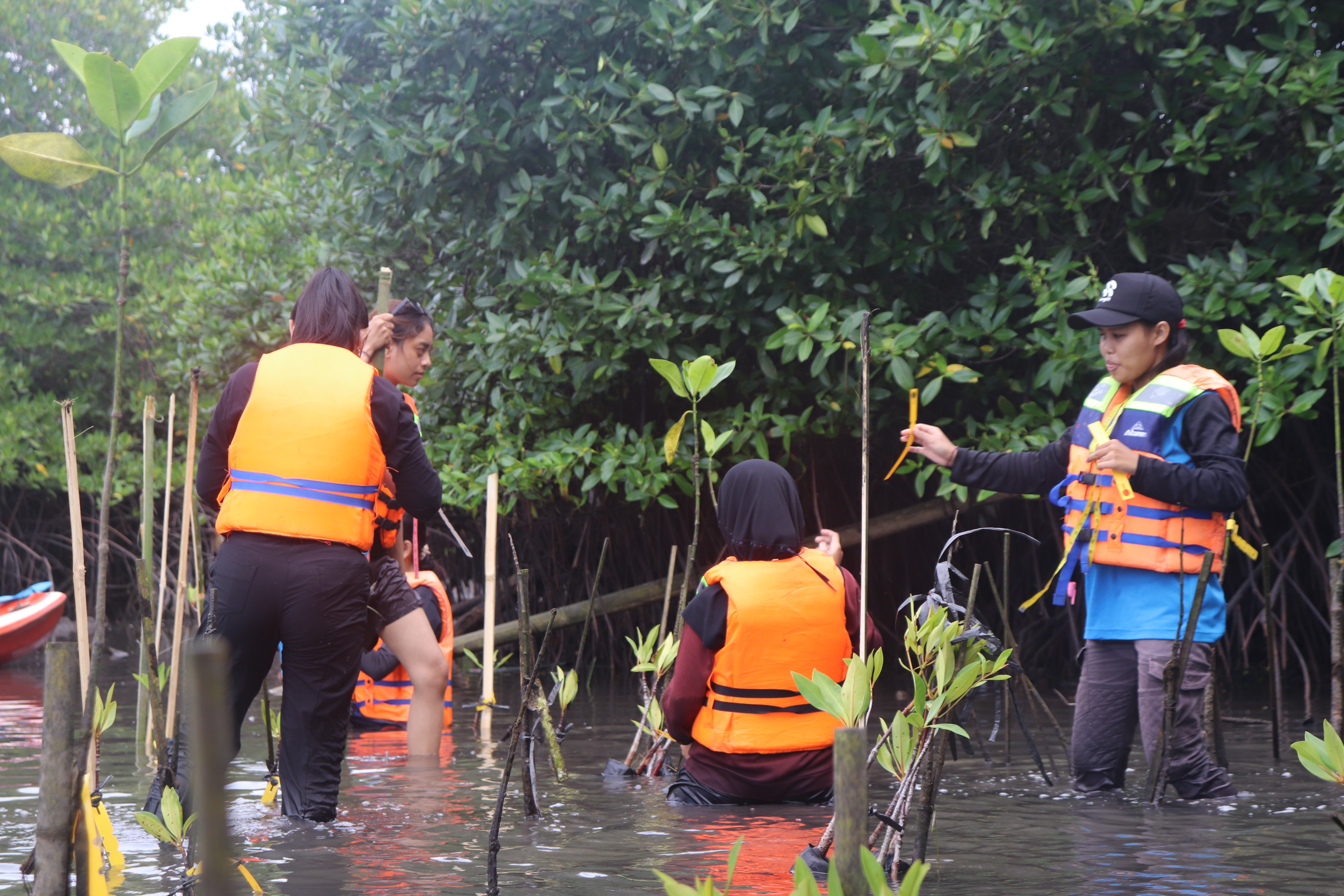 Marine Conservation Project: Menumbuhkan Kehidupan Baru