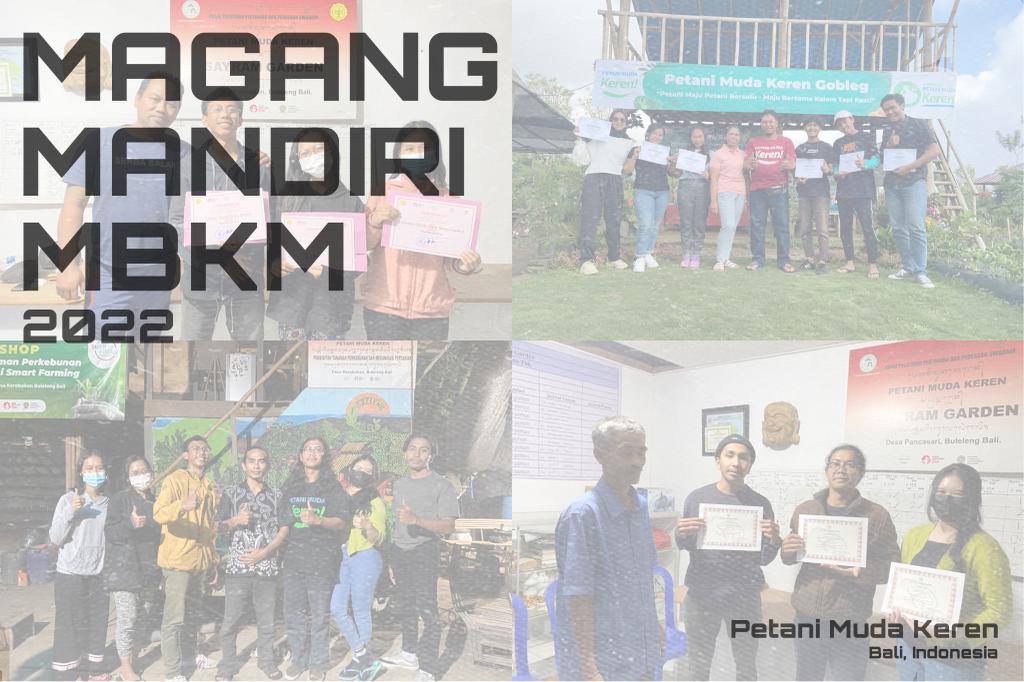Mahasiswa Teknik Pertanian dan Biosistem Universitas Udayana Mengikuti Program MBKM Mandiri di Petani Muda Keren P4S Bali